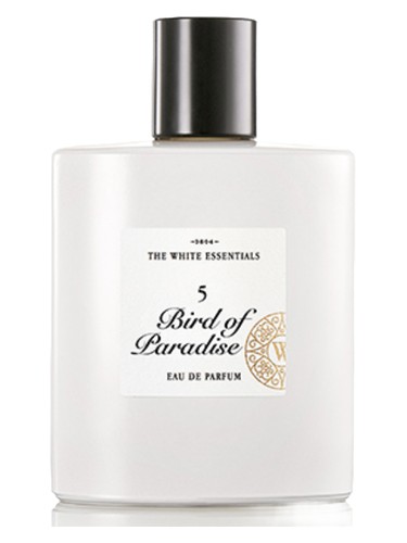 عطر ادکلن فایو برد آو پارادایز ژَردَنگ دُ پَرفیوم - 5 Bird Of Paradise Jardin de Parfums - بررسی، قیمت و خرید