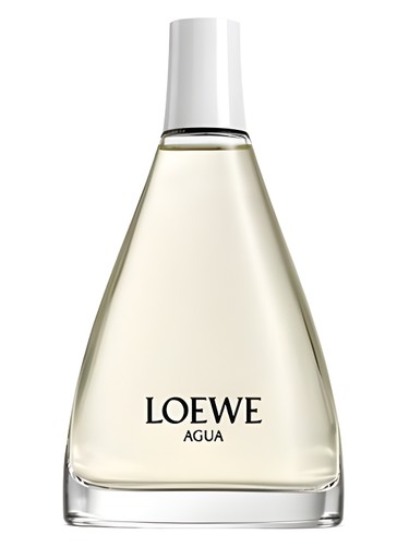عطر ادکلن اگوا ۴۴.۲ لووه - Agua 44.2 Loewe - بررسی، قیمت و خرید