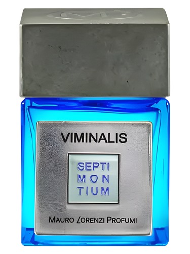 عطر ادکلن وی‌مینالیس ماورو لورنزی پروفومی - Viminalis Mauro Lorenzi Profumi - بررسی، قیمت و خرید