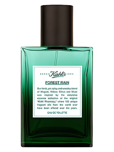 عطر ادکلن فورست رین کیلز - Forest Rain Kiehl's - بررسی، قیمت و خرید