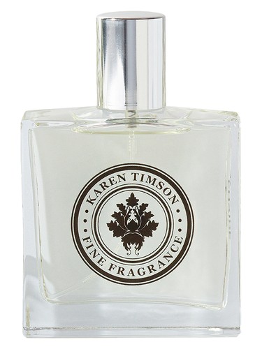 عطر ادکلن اینواید کارن تیمسون - Envide Karen Timson - بررسی، قیمت و خرید
