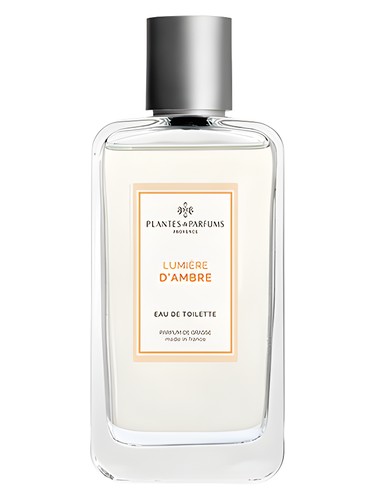 عطر ادکلن لومیِر دِ آمبره پِلَنتس اَند پَرفیوم - Lumière d’Ambre Plantes & Parfums - بررسی، قیمت و خرید