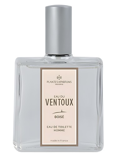 عطر ادکلن اُ دو ون‌تو بوازی پِلانتس اَند پَرفیومز - Eau du Ventoux Boisé Plantes & Parfums - بررسی، قیمت و خرید