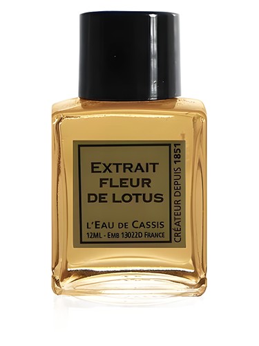 عطر ادکلن فلور د لوتوس لو دو کاسیس - Fleur De Lotus L'Eau De Cassis - بررسی، قیمت و خرید