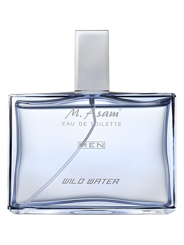 عطر ادکلن من ویلدوتر ام. اسام - Men Wild Water M. Asam - بررسی، قیمت و خرید