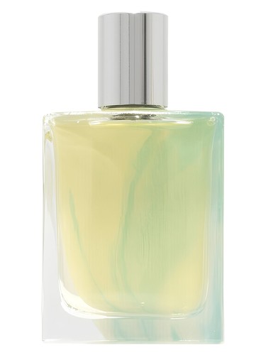 عطر ادکلن سیک لا فولی پلازیهور - Seek La Folie a Plusieurs - بررسی، قیمت و خرید