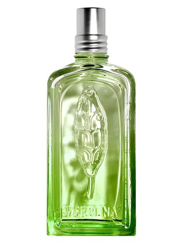 عطر ادکلن وروین کاکتوس لوکسیتان - Verveine Cactus L'Occitane en Provence - بررسی، قیمت و خرید