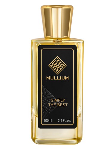 عطر ادکلن سیمپلی د بست فور من مولیوم - simply the best for men Mullium - بررسی، قیمت و خرید
