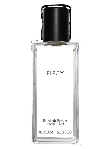 عطر ادکلن الژی جرم استودیو - Elegy Jorum Studio - بررسی، قیمت و خرید