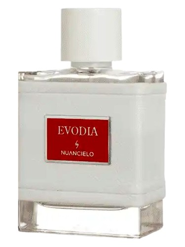 عطر ادکلن ایوودیا نواسیلو - Evodia Nuancielo - بررسی، قیمت و خرید