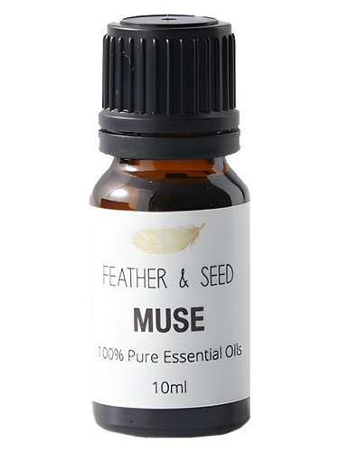 عطر ادکلن میوز سنسور آی ام - Muse Sensor I Am - بررسی، قیمت و خرید