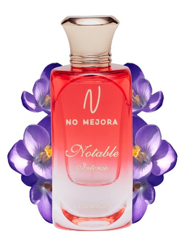 عطر ادکلن نوتابل اینتنسو نو مهورا - Notable Intenso No Mejora - بررسی، قیمت و خرید