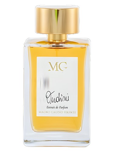 عطر ادکلن اودینی مگنو گائودیو فیرنزه - Oudini Magno Gaudio Firenze - بررسی، قیمت و خرید