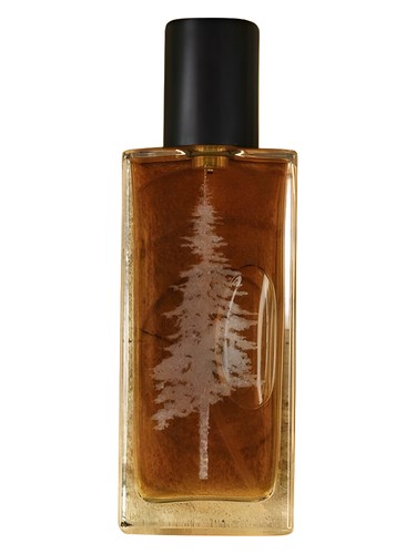 عطر ادکلن گلوواین پاین‌ورد پرفیومز - Glühwein Pineward Perfumes - بررسی، قیمت و خرید