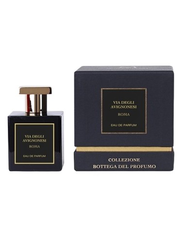عطر ادکلن ویا دلی آوینیونسی روما مارکوچیا - Via degli Avignonesi Roma Marcoccia - بررسی، قیمت و خرید