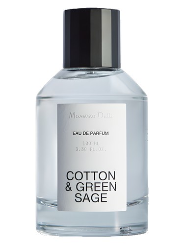 عطر ادکلن کاتن اند گرین سیج ماسیمو دوتی - Cotton & Green Sage Massimo Dutti - بررسی، قیمت و خرید
