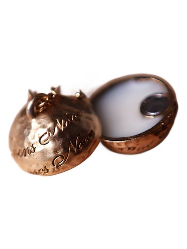 عطر ادکلن پوشن جویا - Potion Joya - بررسی، قیمت و خرید