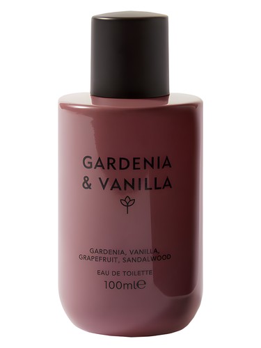 عطر ادکلن گاردنیا و وانیلا مارکس اند اسپنسر - Gardenia & Vanilla Marks & Spencer - بررسی، قیمت و خرید