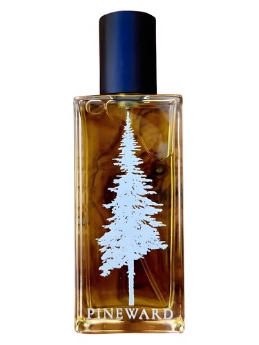 عطر ادکلن جلاتو پاین‌وارد پرفیومز - Gelatto Pineward Perfumes - بررسی، قیمت و خرید