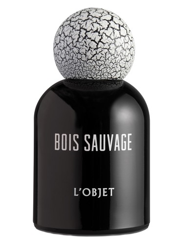 عطر ادکلن بوا سواج اُبژه - Bois Sauvage L'Objet - بررسی، قیمت و خرید