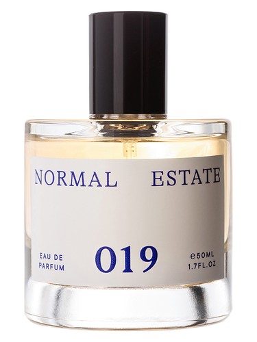عطر ادکلن صفر نوزده نورمال استیت - 019 Normal Estate - بررسی، قیمت و خرید