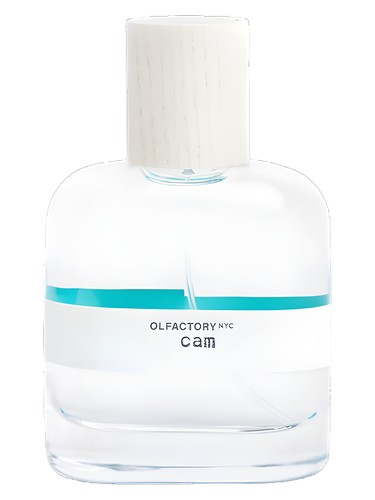 عطر ادکلن کم اُل‌فَکتوری اِن‌وای‌سی - Cam Olfactory NYC - بررسی، قیمت و خرید