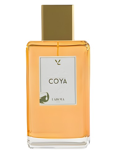عطر ادکلن کُیا لابویا پاریس - Coya Laboya Paris - بررسی، قیمت و خرید