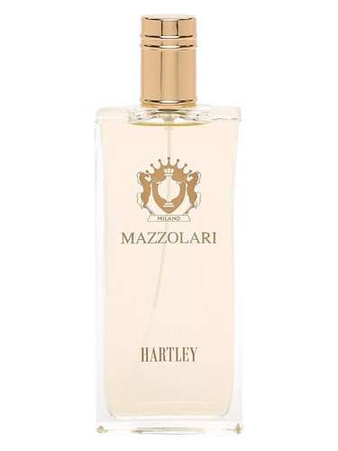 عطر ادکلن هارتلی مازولاری - Hartley Mazzolari - بررسی، قیمت و خرید