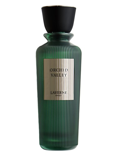 عطر ادکلن اورکید ولی لاورن - Orchid Valley Laverne - بررسی، قیمت و خرید