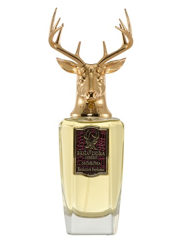 عطر ادکلن ارکستر پاندورا - Orchestra Pana Dora - بررسی، قیمت و خرید