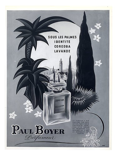 عطر ادکلن سولس پالماس پائول بویِر - Sous Les Palmes Paul Boyer - بررسی، قیمت و خرید
