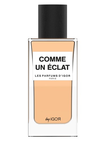 عطر ادکلن کام اِن اِکلا لِه پارفم دیگور - Comme Un Eclat Les Parfums d'Igor - بررسی، قیمت و خرید