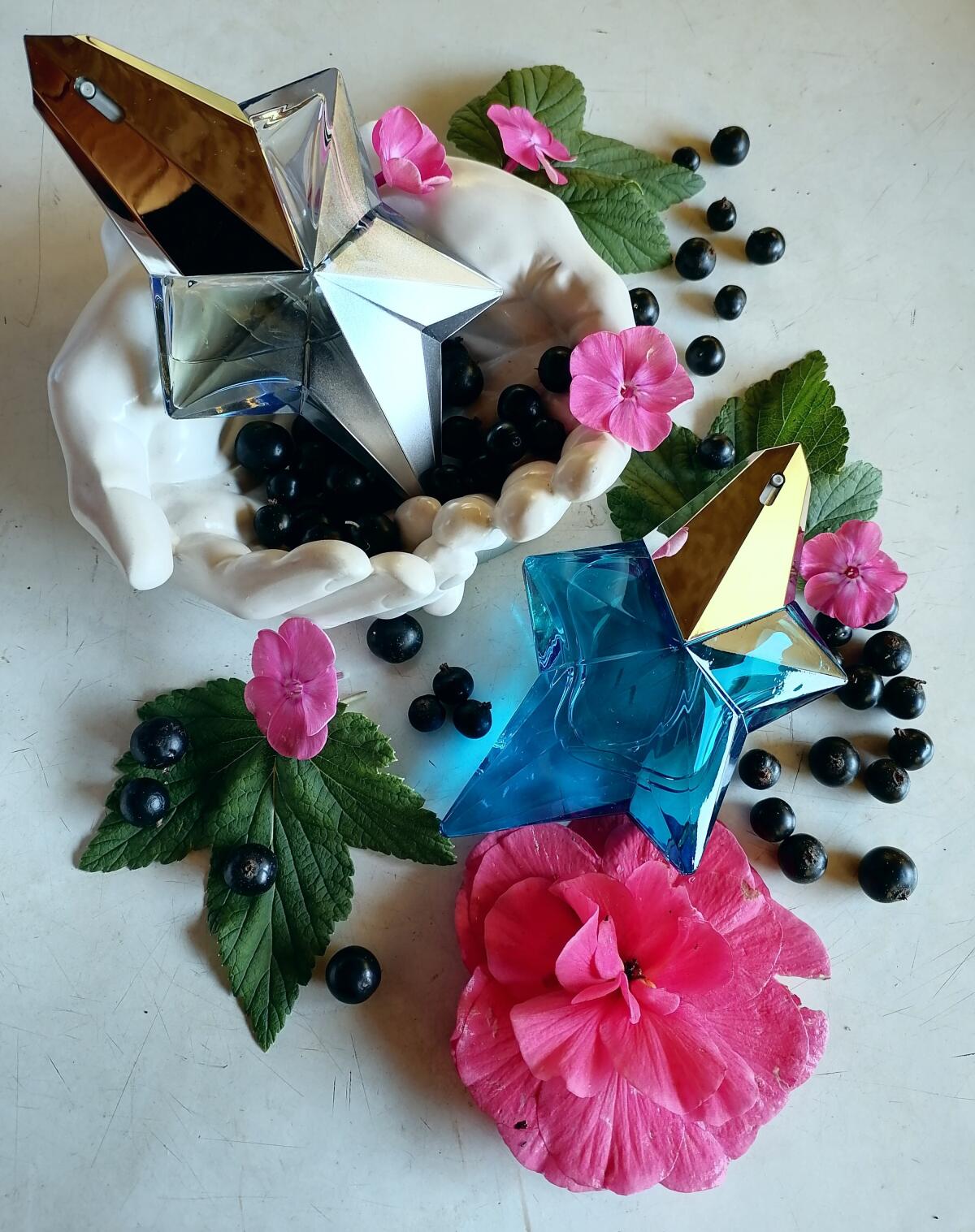 عطر ادکلن انجل فروتی فر موگلر - Angel Fruity Fair Mugler - بررسی، قیمت و خرید