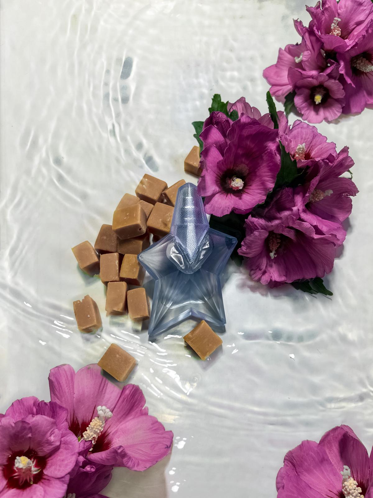 عطر ادکلن انجل سانسنس موگلر - Angel Sunessence EDT Legere Mugler - بررسی، قیمت و خرید