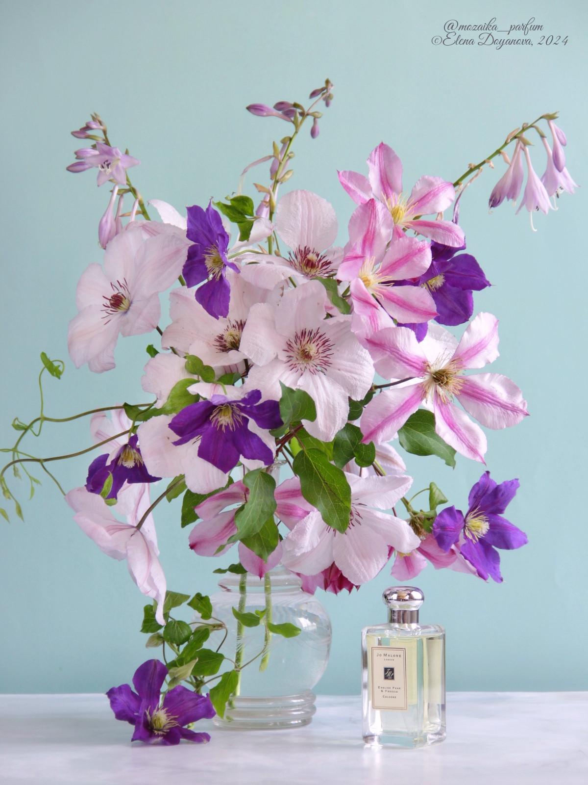 عطر ادکلن اینگلیش پیر اند فریزیا جو مالون لندن - English Pear & Freesia Jo Malone London - بررسی، قیمت و خرید