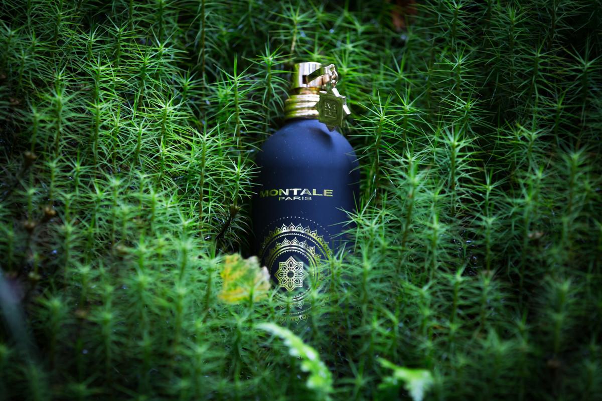 عطر ادکلن پیور لاو مونتل - Pure Love Montale - بررسی، قیمت و خرید