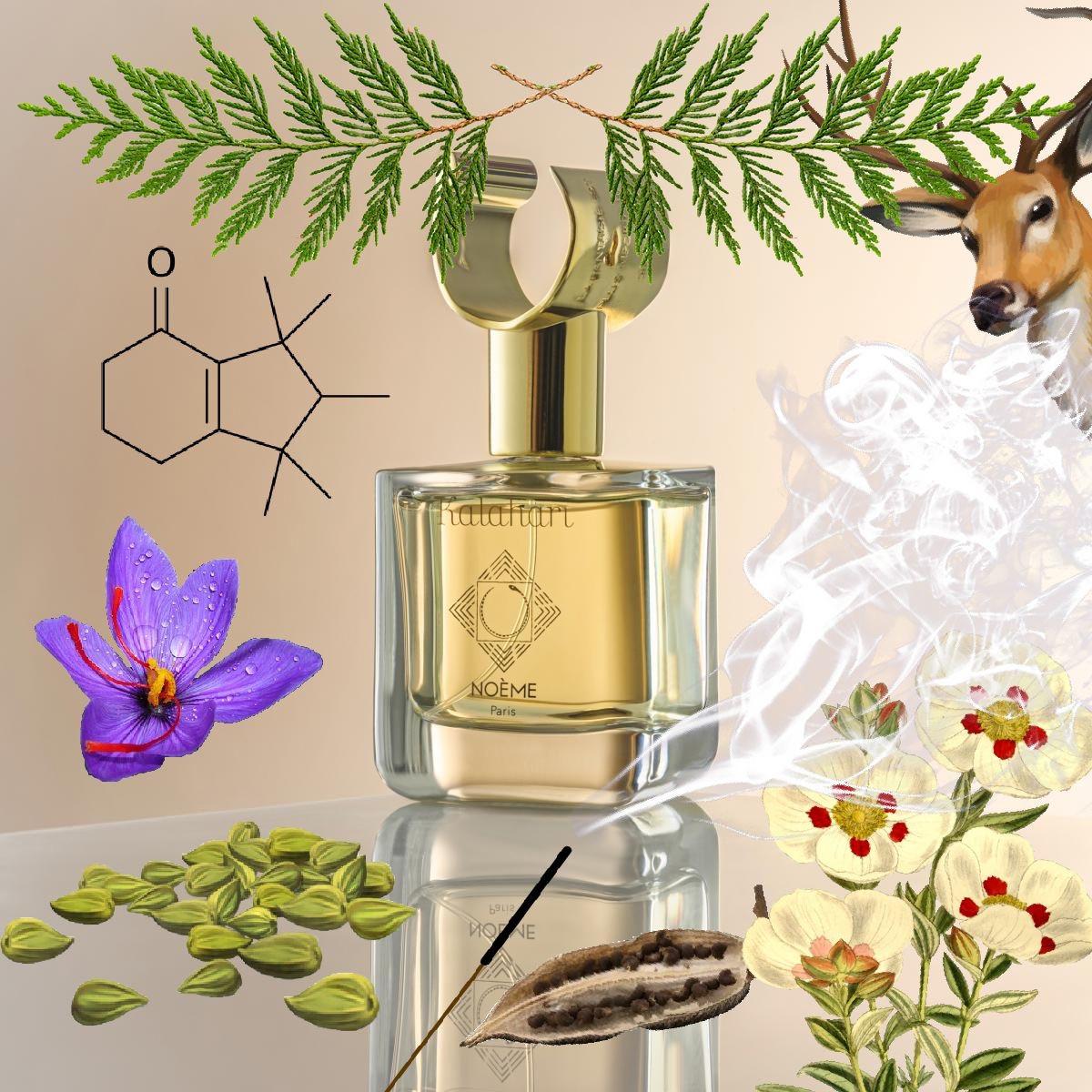 عطر ادکلن کالاهاری نوئم - Kalahari Noème - بررسی، قیمت و خرید
