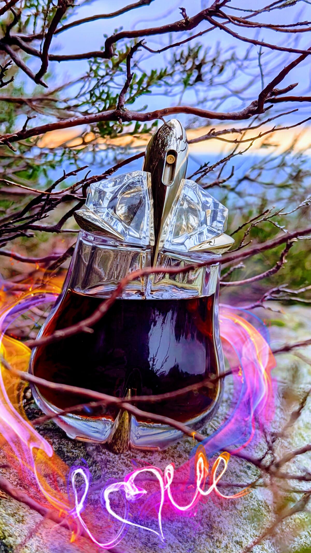 عطر ادکلن آلین اسنس ابسولو موگلر - Alien Essence Absolue Mugler - بررسی، قیمت و خرید