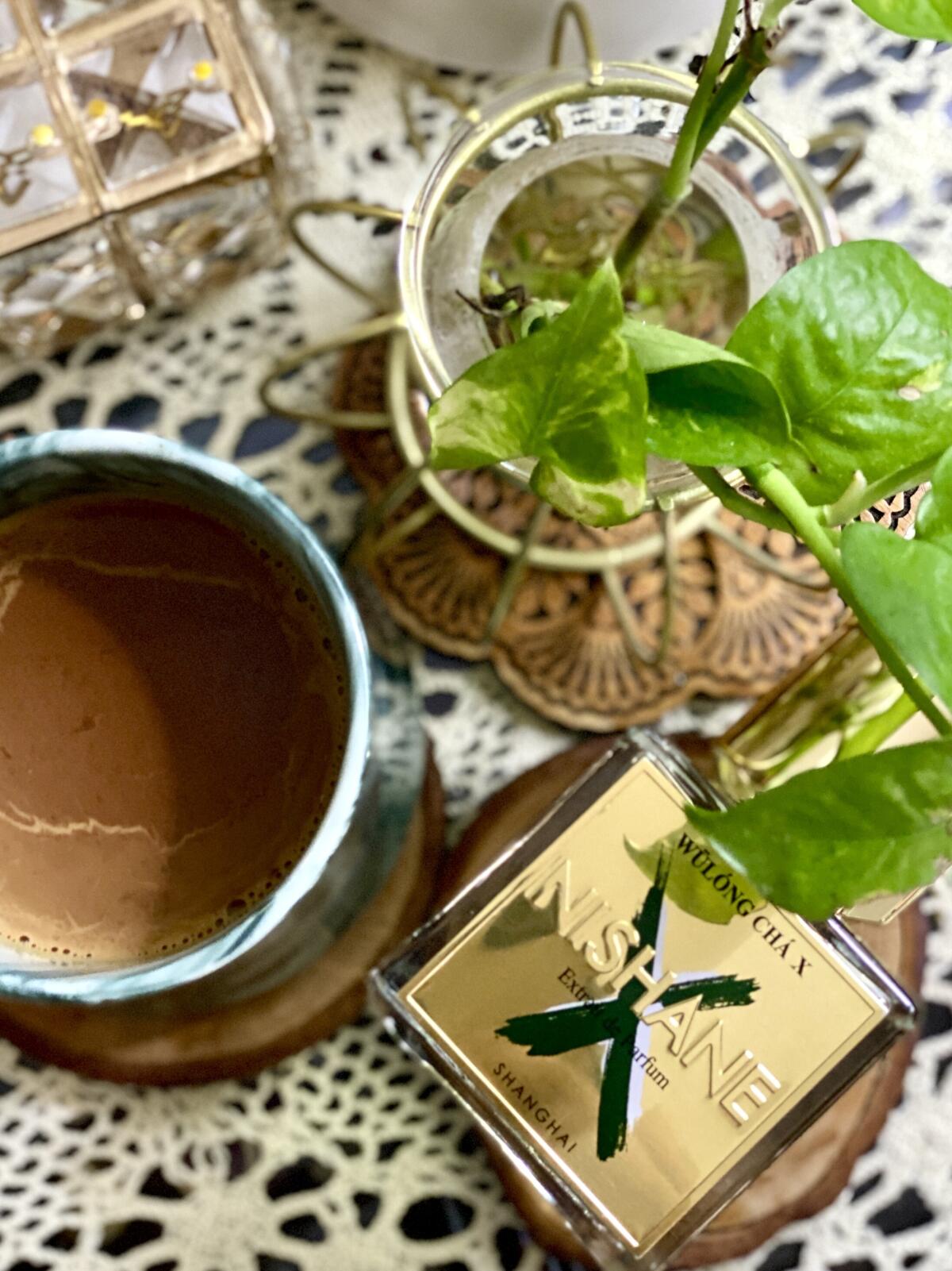 عطر ادکلن ولونگ چا ایکس نیشانه - Wulong Cha X Nishane - بررسی، قیمت و خرید