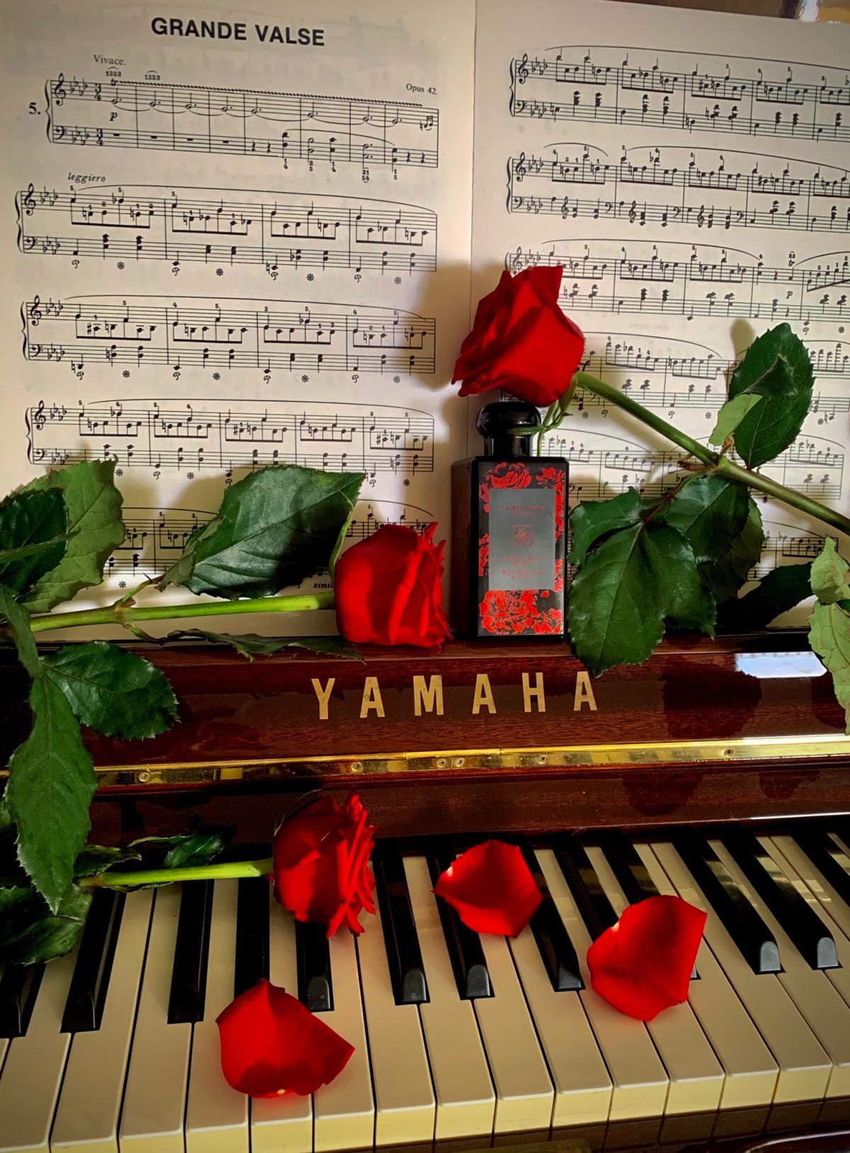 عطر ادکلن ولوت رز اند عود ریچ اکستریت جو مالون لاندن - Velvet Rose & Oud Rich Extrait Jo Malone London - بررسی، قیمت و خرید