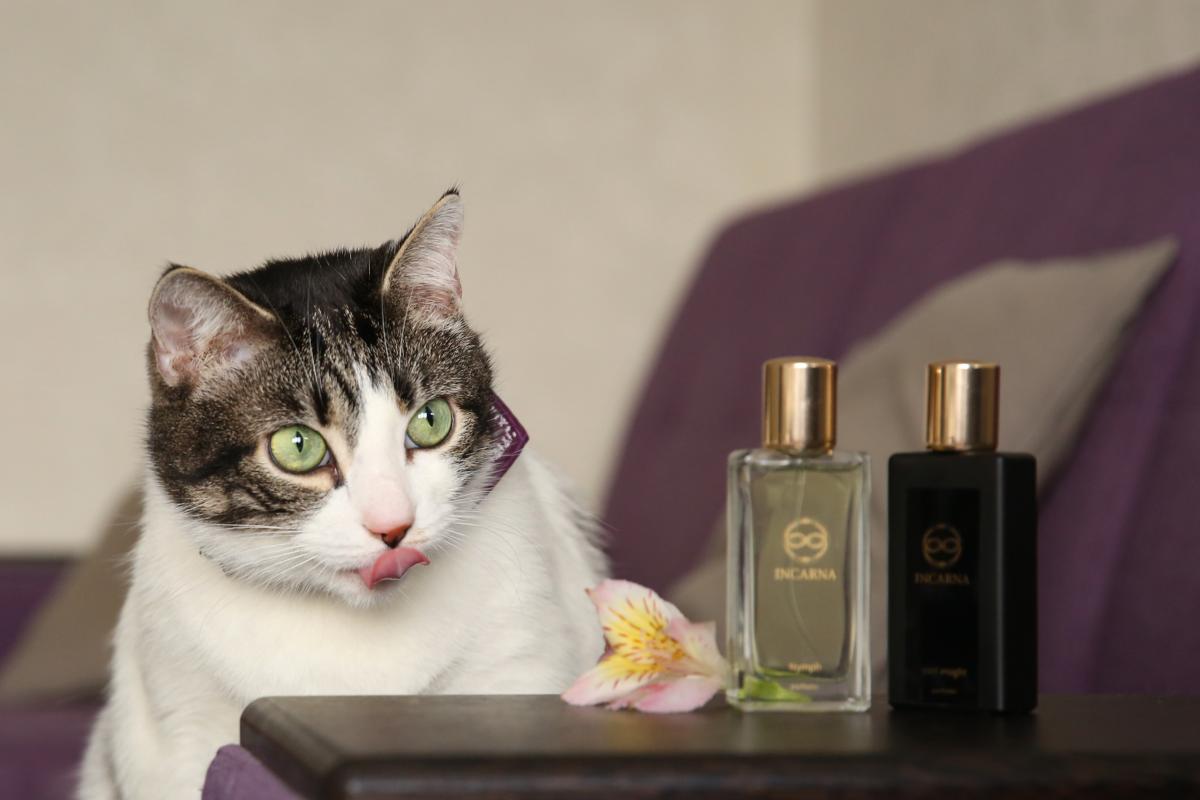 عطر ادکلن ورت اینسایت اینکارنا پرفیومز - Vert insight Incarna parfums - بررسی، قیمت و خرید