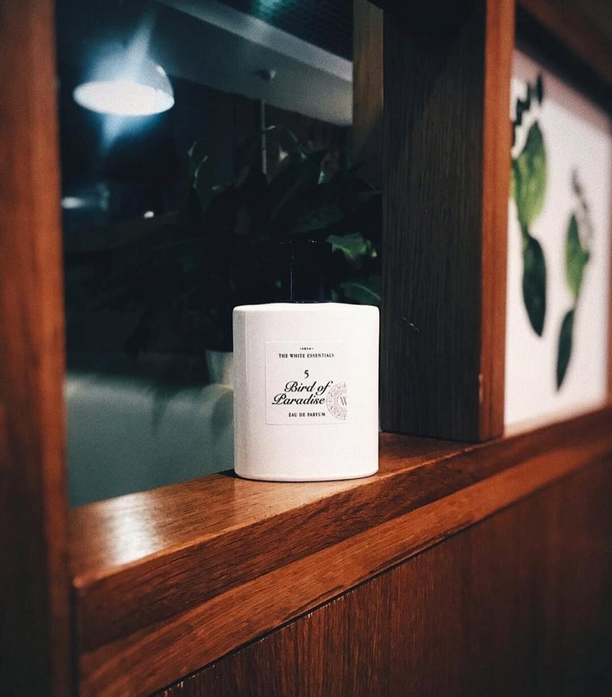 عطر ادکلن فایو برد آو پارادایز ژَردَنگ دُ پَرفیوم - 5 Bird Of Paradise Jardin de Parfums - بررسی، قیمت و خرید