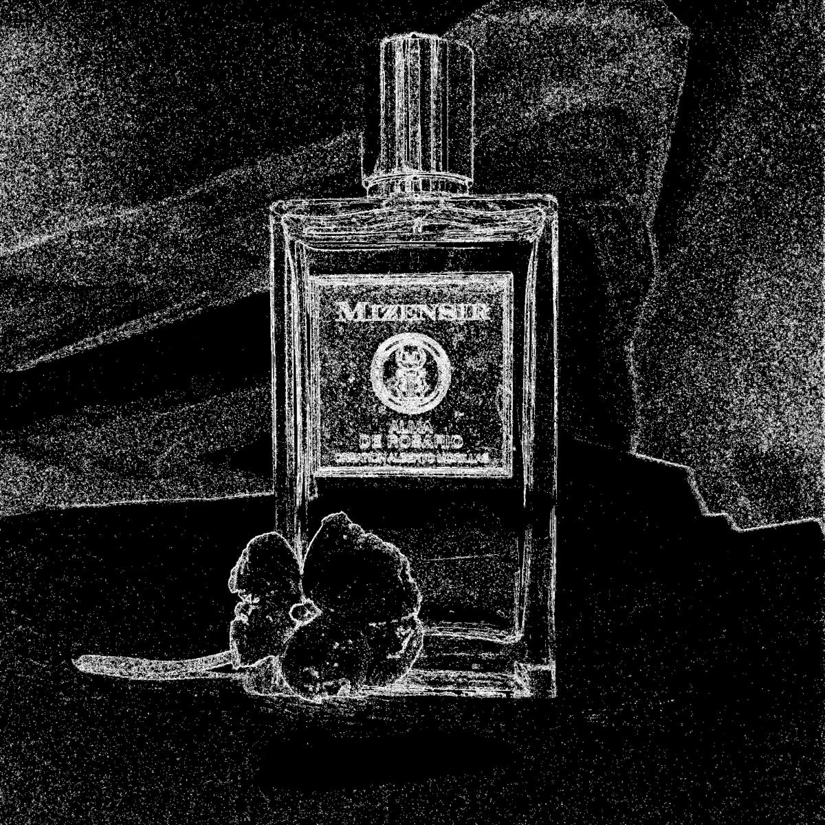 عطر ادکلن آلما د رُزاريو می‌زن‌سیر - Alma de Rosario Mizensir - بررسی، قیمت و خرید