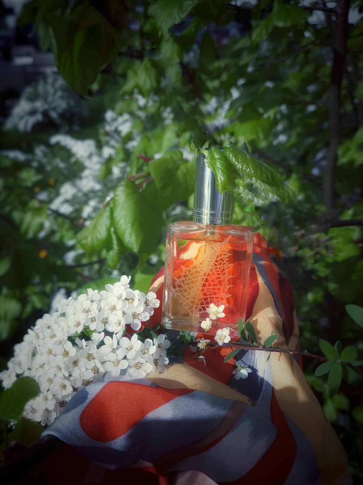 عطر ادکلن بیرچ ساپ لادانیکا - Birch Sap Берёзовый Сок Ladanika - بررسی، قیمت و خرید