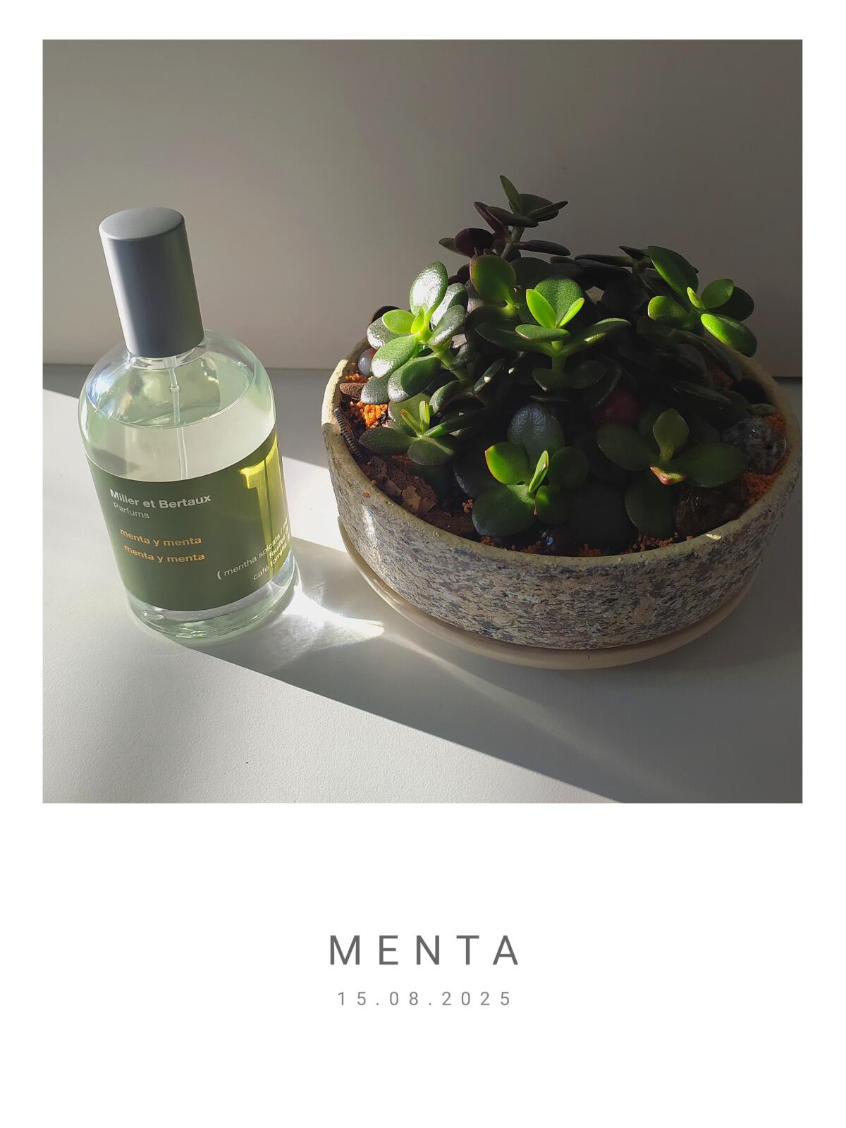 عطر ادکلن منت و منت میلر ات برتو - Menta y Menta Miller et Bertaux - بررسی، قیمت و خرید