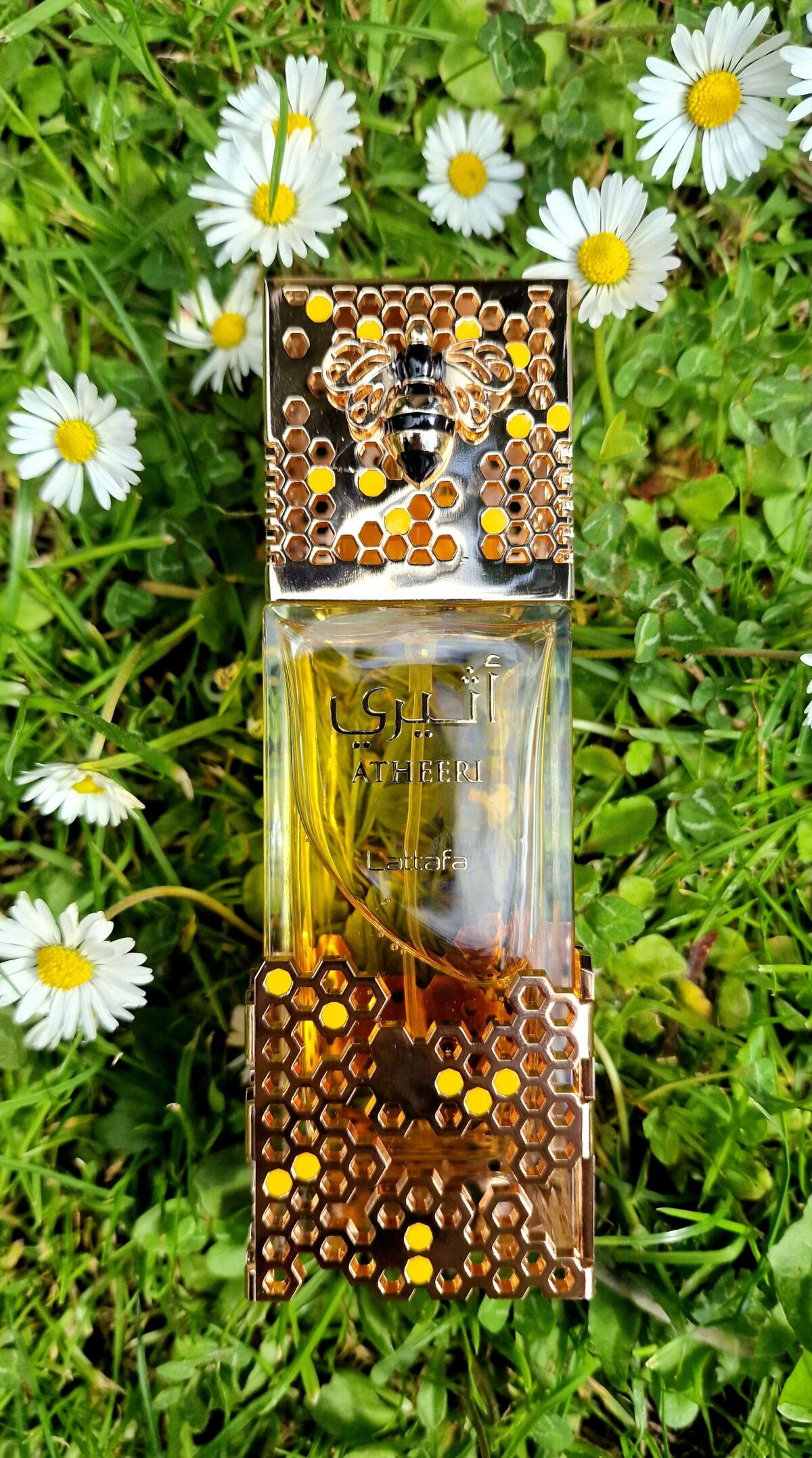 عطر ادکلن اتیری لتافا پرفیومز - Atheeri Lattafa Perfumes - بررسی، قیمت و خرید