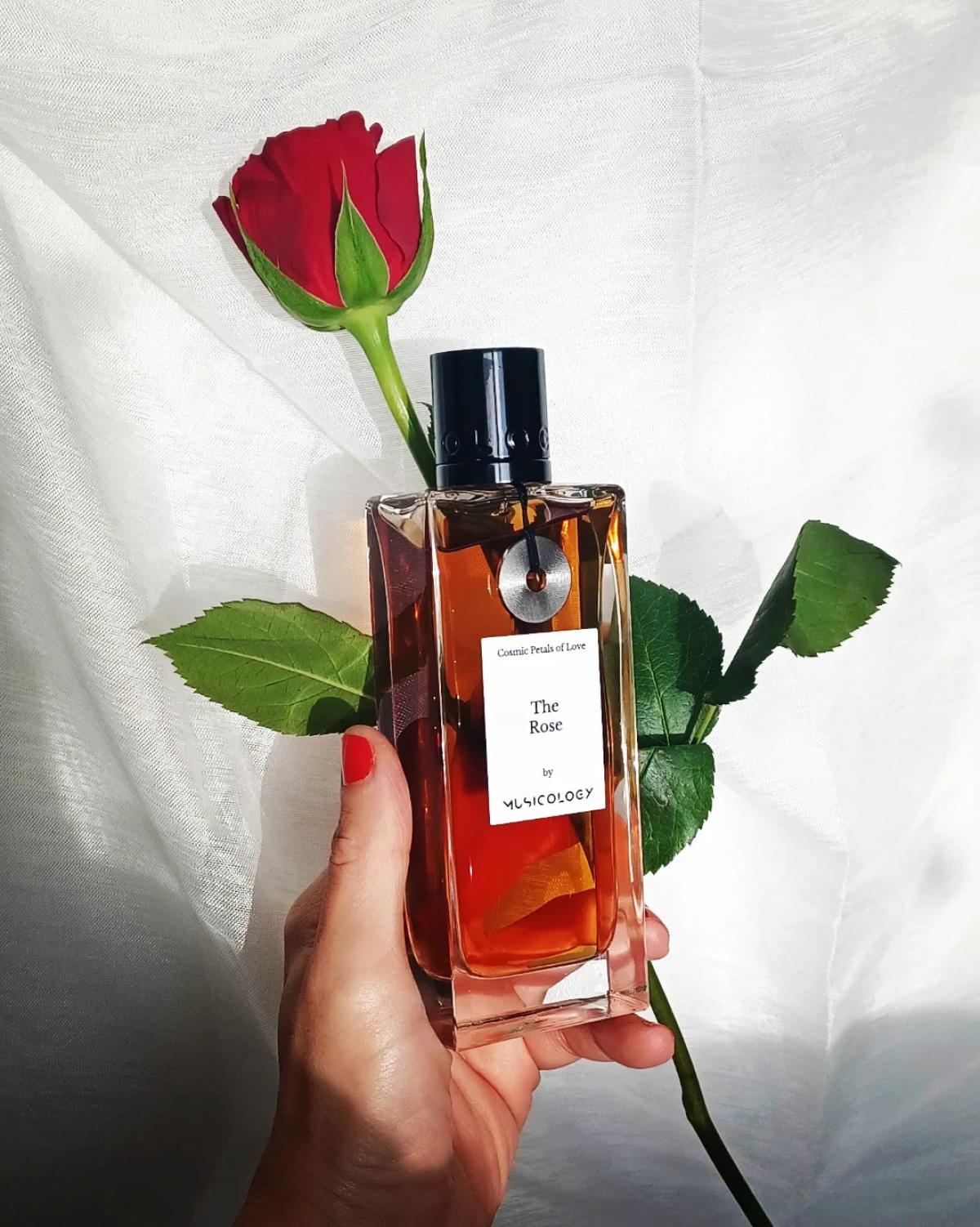 عطر ادکلن د رز میوزیکولوژی - The Rose Musicology - بررسی، قیمت و خرید