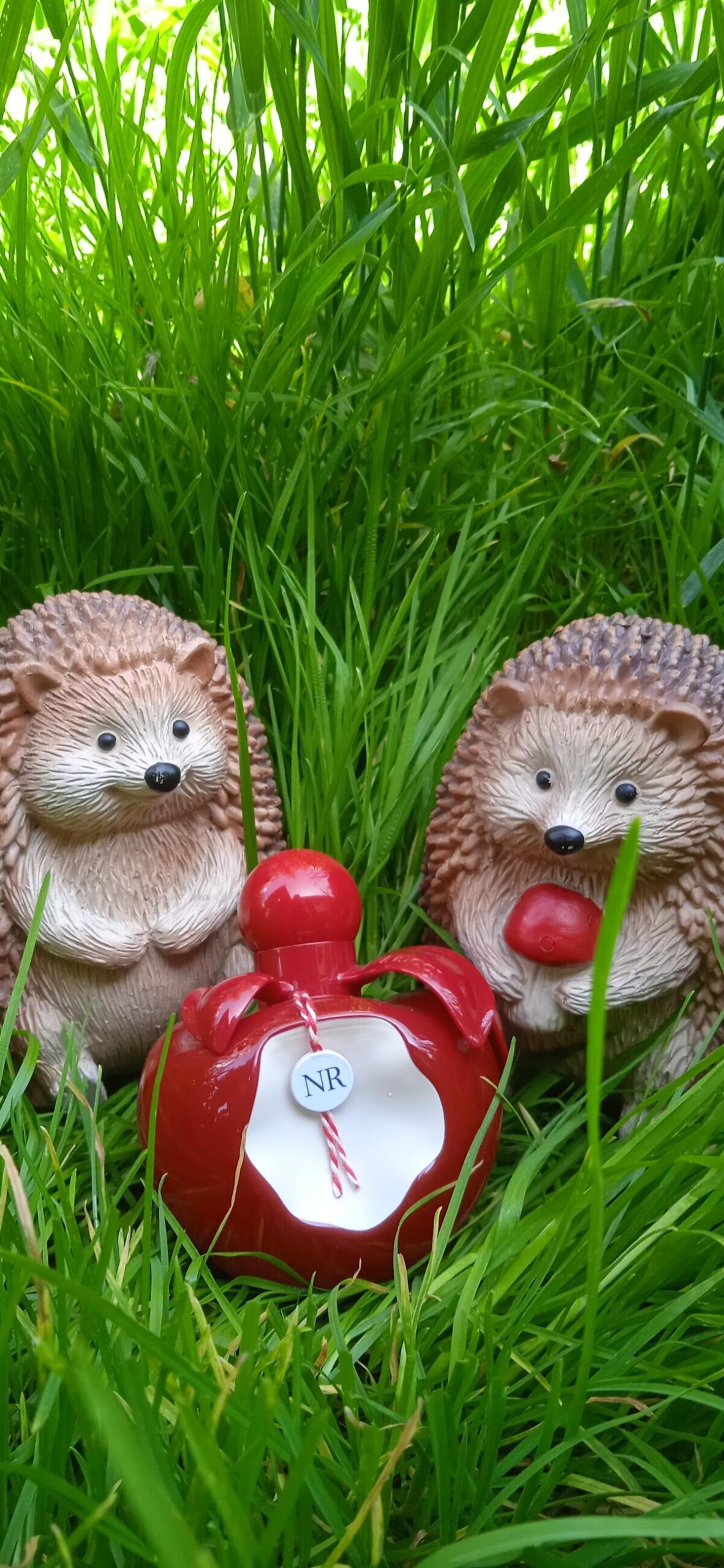 عطر ادکلن نینا روژ نینا ریچی - Nina Rouge Nina Ricci - بررسی، قیمت و خرید