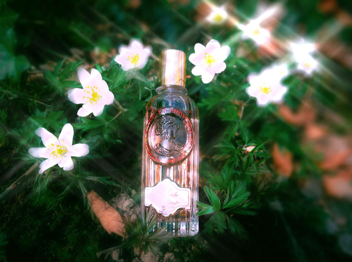 عطر ادکلن گرناد پتیلانت ژان اَن پرووانس - Grenade Petillante Jeanne en Provence - بررسی، قیمت و خرید