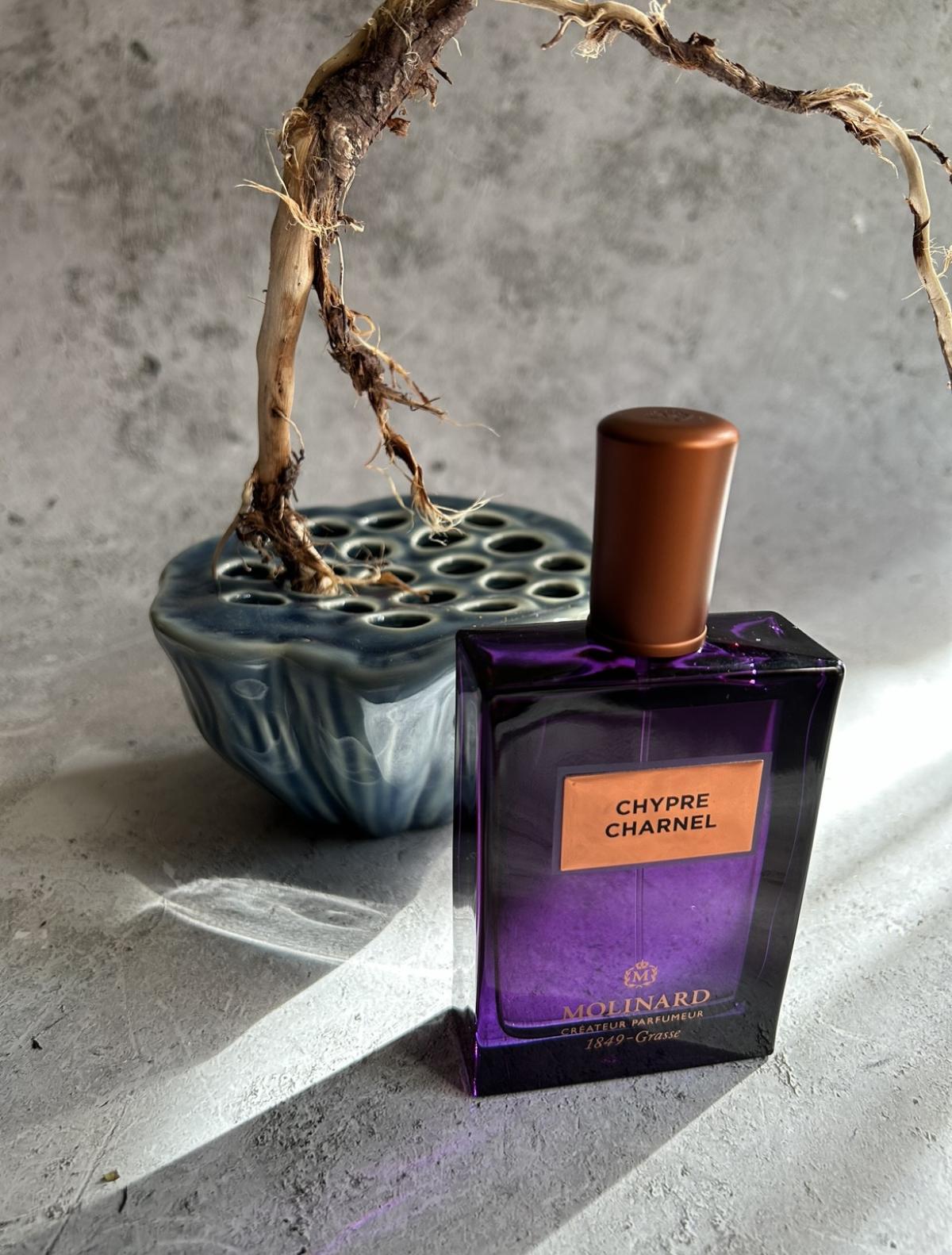 عطر ادکلن چیپر شارنل مولینارد - Chypre Charnel Molinard - بررسی، قیمت و خرید